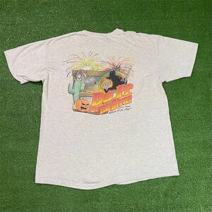 Vintage 2002 Hanes Men's L Gray Graphic T-Shirt Cactus Jack-o-lantern Distressed